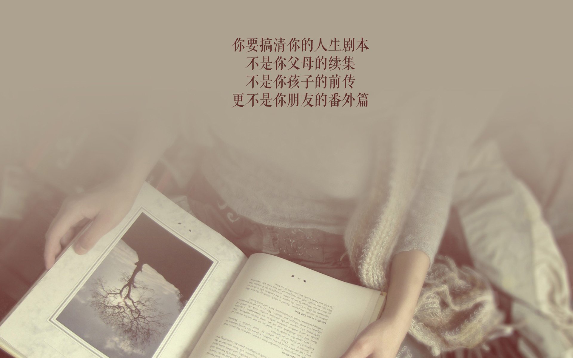 佩纳罗尔球员表现获球迷认可，佩纳罗尔vs水晶竞技