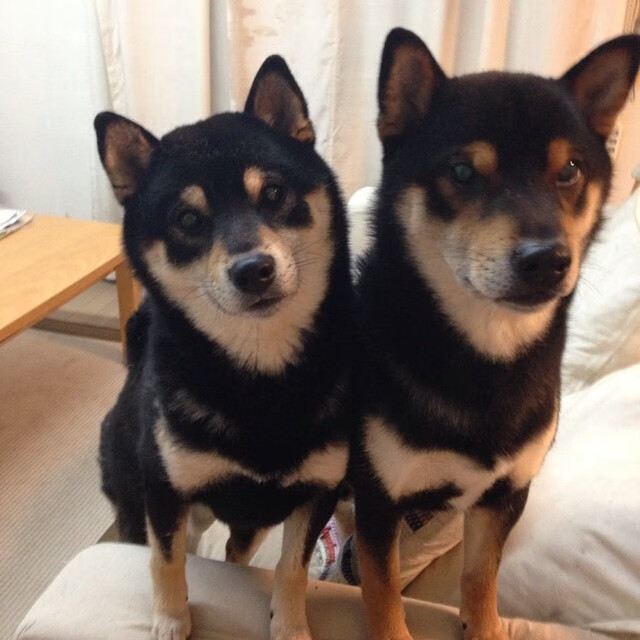 中小学体育教师激励机制研究,中小学体育教师培训