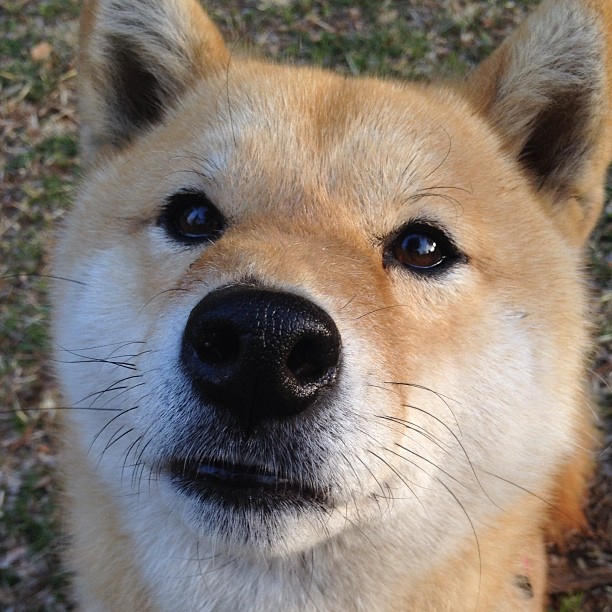 青少年健身类短视频内容影响因素研究,短视频平台对青少年的影响