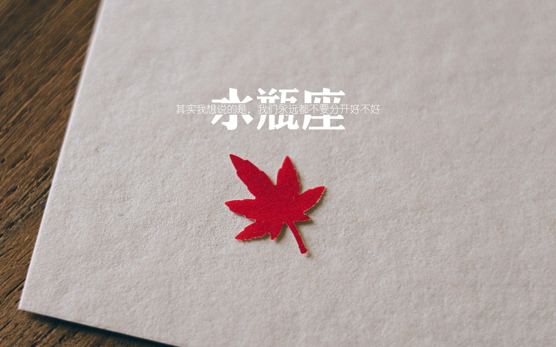 中国女篮阵容稳定 球员默契渐佳,最新中国女篮队员介绍