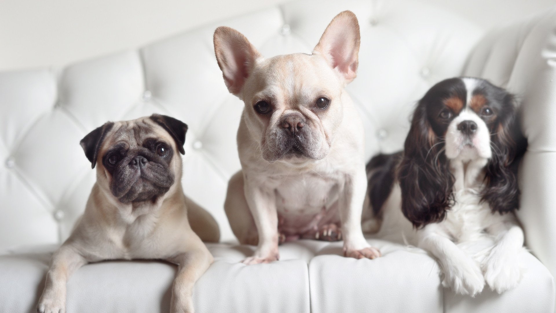 爱游戏中国官方登录入口网站-运动员个人品牌打造成为发展新方向，运动员的牌子叫什么