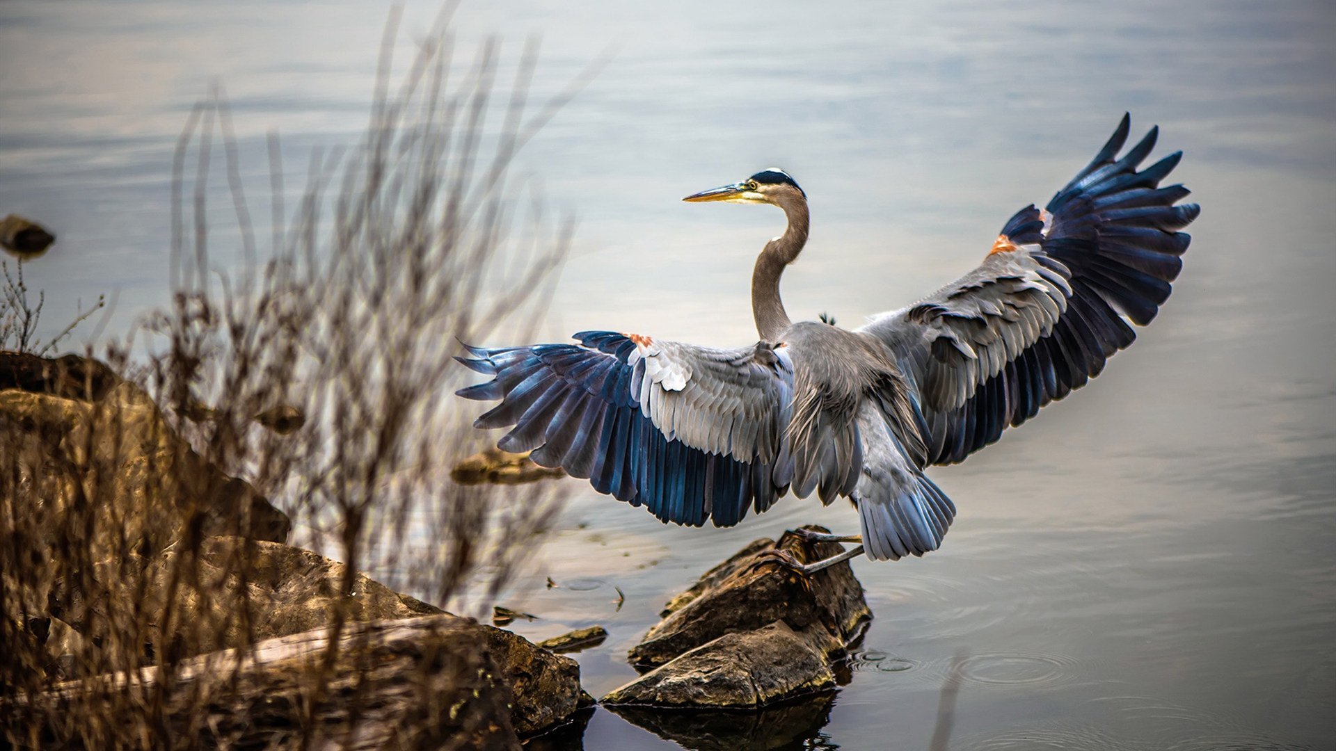 爱游戏娱乐平台-以足球为主题的文化旅游项目成为地方新名片，以足球为主题的活动